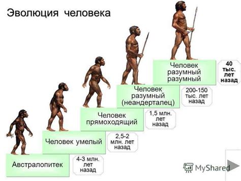 Эволюция человека: от четвероногих к двуногим