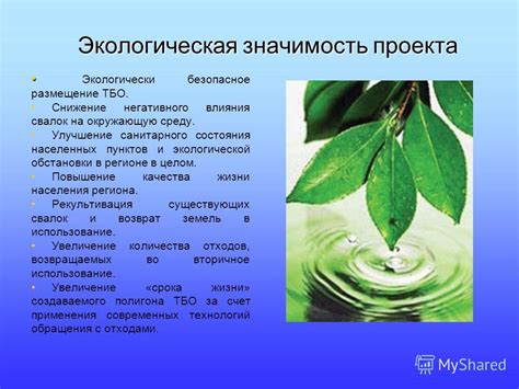 Экологическая значимость природных волокон