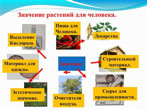 Экологическая составляющая: взаимодействие человека и зверей в природе