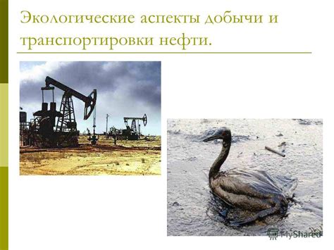 Экологические аспекты добычи нефти в Чечне