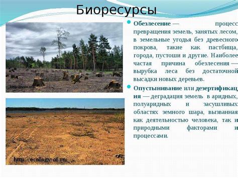 Экологические последствия конца ресурсов