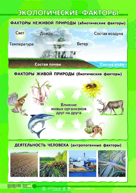 Экологические факторы и их влияние на кожу