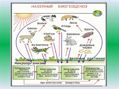Экологический подход в исследованиях
