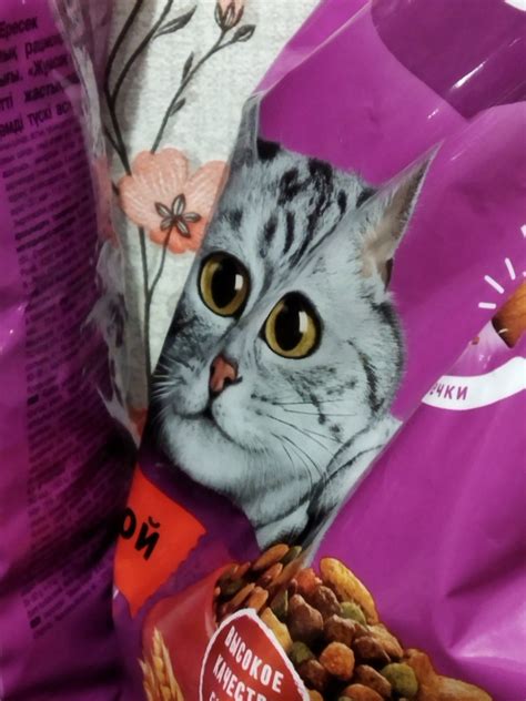 Экономия на корме