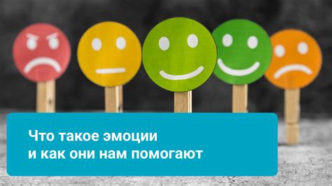 Эмоциональные состояния и сон котов