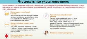 Этапы развития вакцинации