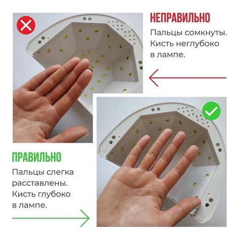 Этапы сушки базы в лампе