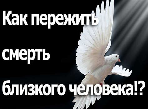 Этап 3: Создание новой жизни после потери