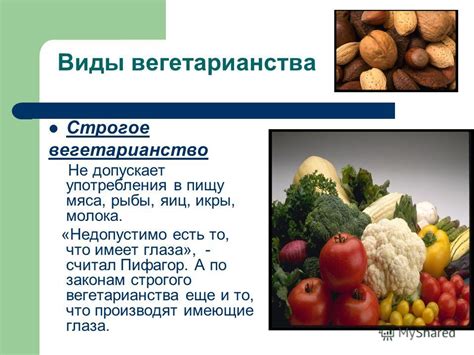 Этический аспект вегетарианства и рыбы
