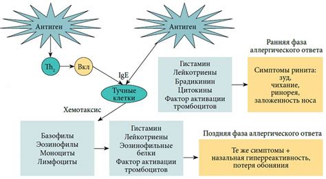 Эффективность антигистаминных препаратов