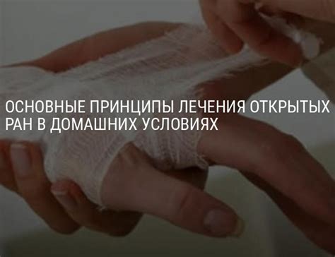 Эффективность в лечении ран
