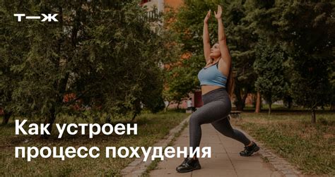 Эффективность исключения углеводов на процесс похудения