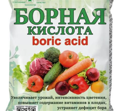 Эффективность использования борной кислоты для роз