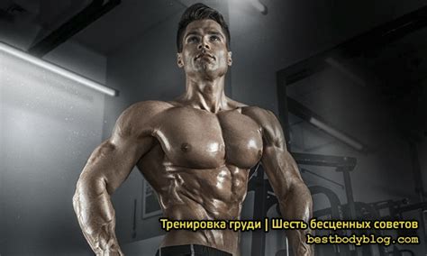 Эффективные методы тренировки и привыкания к грому