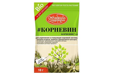 Эффективные способы применения корневина