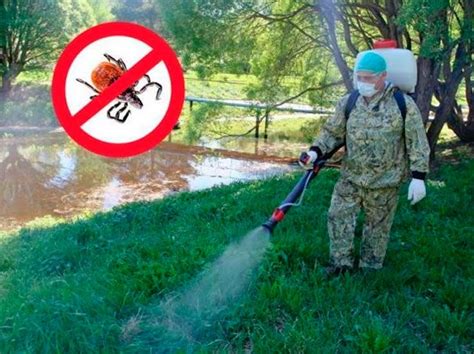 Эффективные средства борьбы с клещами маслом