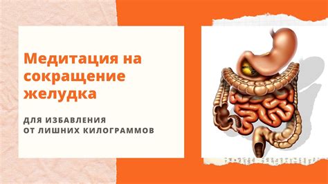 Эффекты ошеломления на сокращение желудка