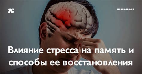 Эффекты стресса на память