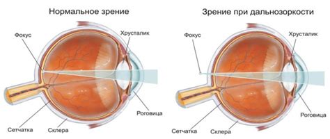 Эффекты темноты на зрительную систему