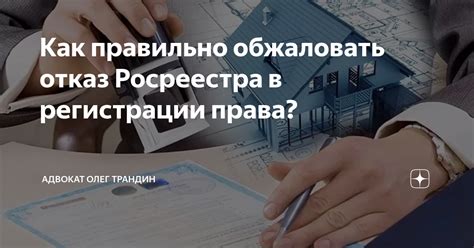 Юридические шаги: как обжаловать отказ и защитить интересы ребенка