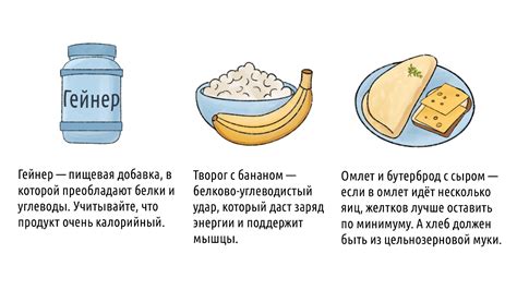 Яблоки как источник энергии перед тренировкой