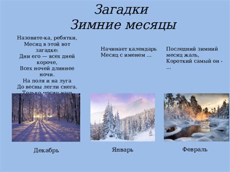 Январь: длинные зимние ночи и холода