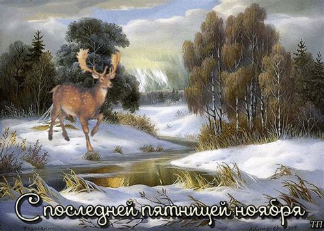 ноября - пятница года