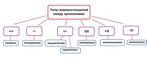  "Симбиозный" тип взаимоотношений 