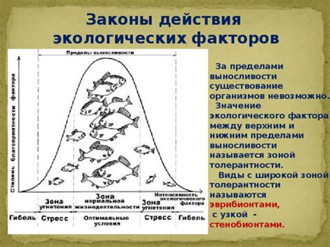  Влияние экологического фактора на комаров 