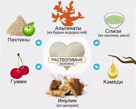  Здоровье и пищевые волокна 