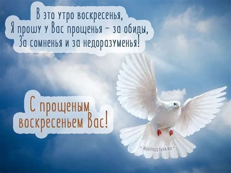  Итерактивные беседы и просьба о прощении 