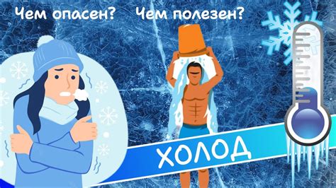  Как холод влияет на деревья 