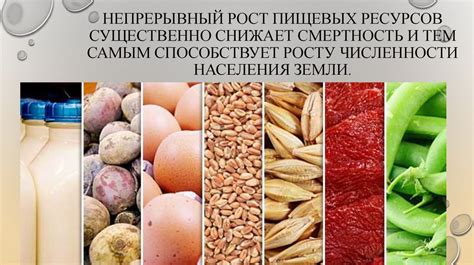  Поиск новых пищевых ресурсов 
