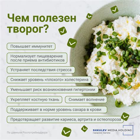  Полезные свойства творога для цыплят 