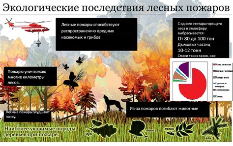  Последствия отдаления от людей 
