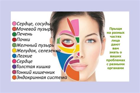  Причины появления прыщей на лице 