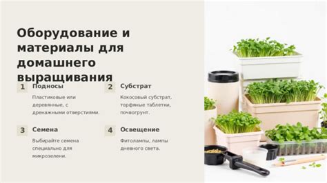 Субстрат и освещение 