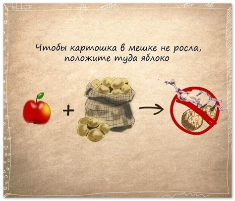 2. Полезные советы
