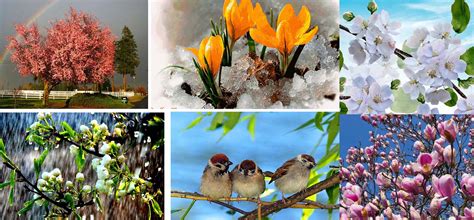 Signs of Spring: пробуждение природы