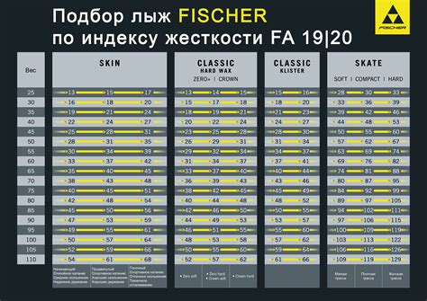 Tz1 1 структура лыж фишер когда едет
